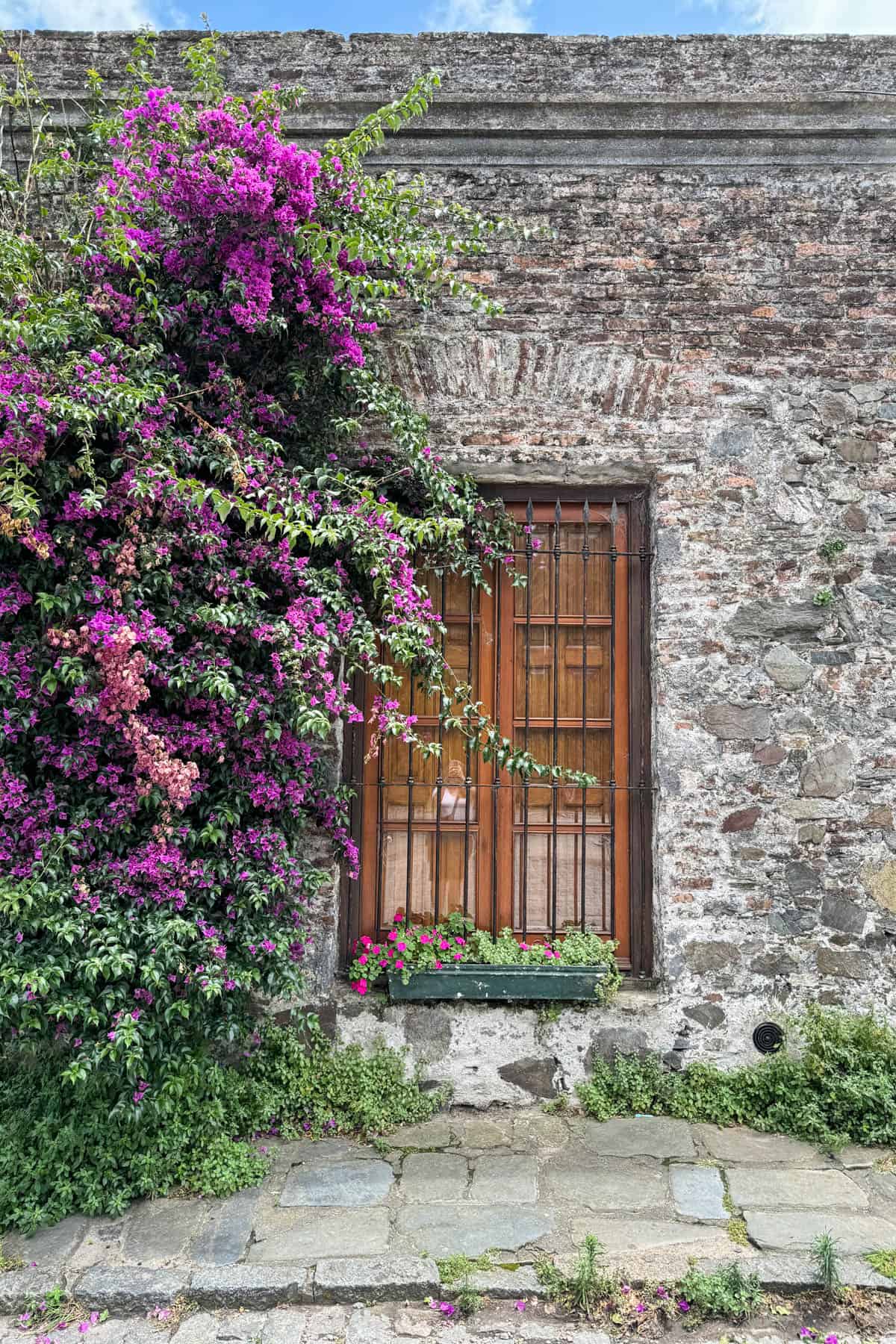A window with purple flowers around it.
