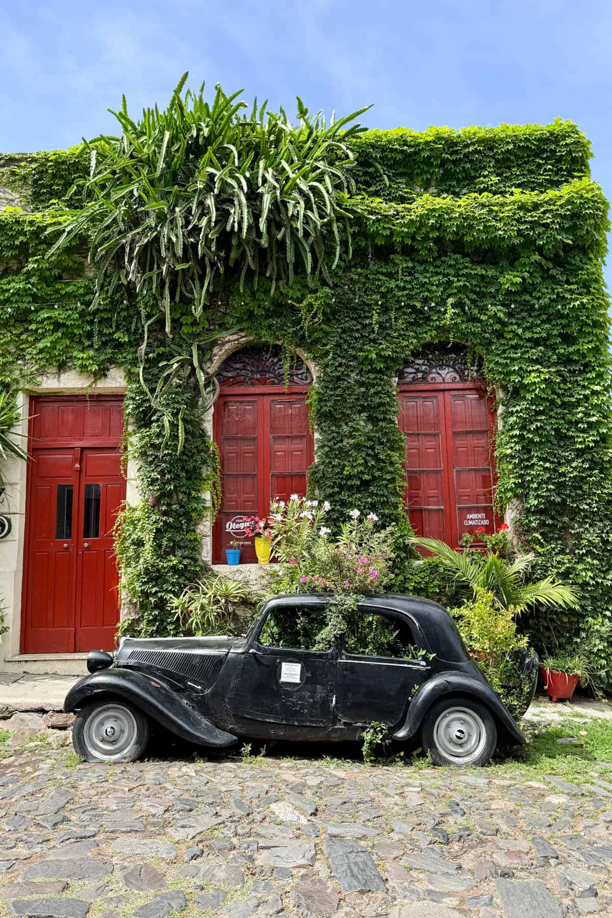 An old car being used as a planter in Colonia, Uruguay.