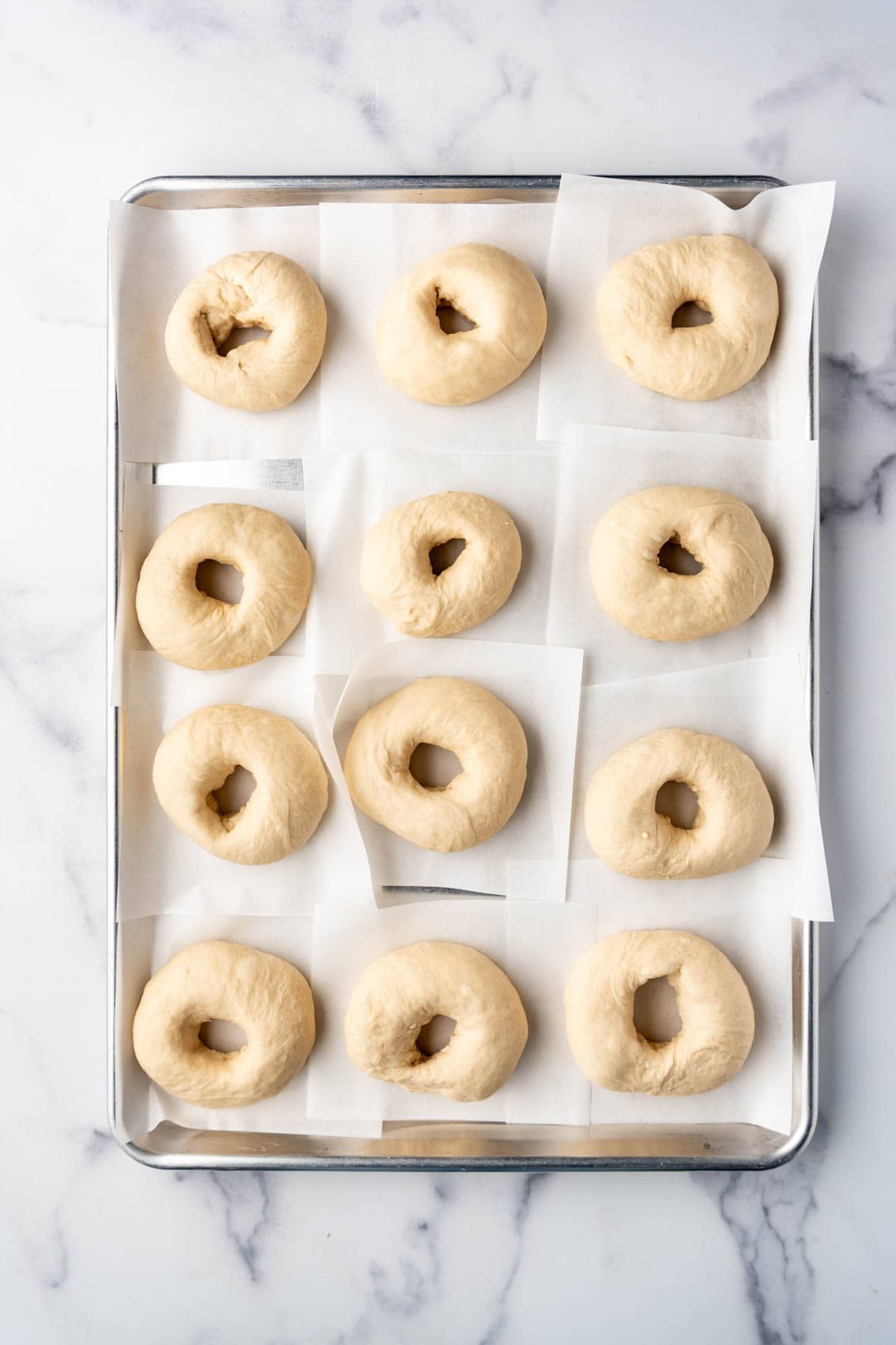 A dozen sourdough bagels ready to be boiled then baked.