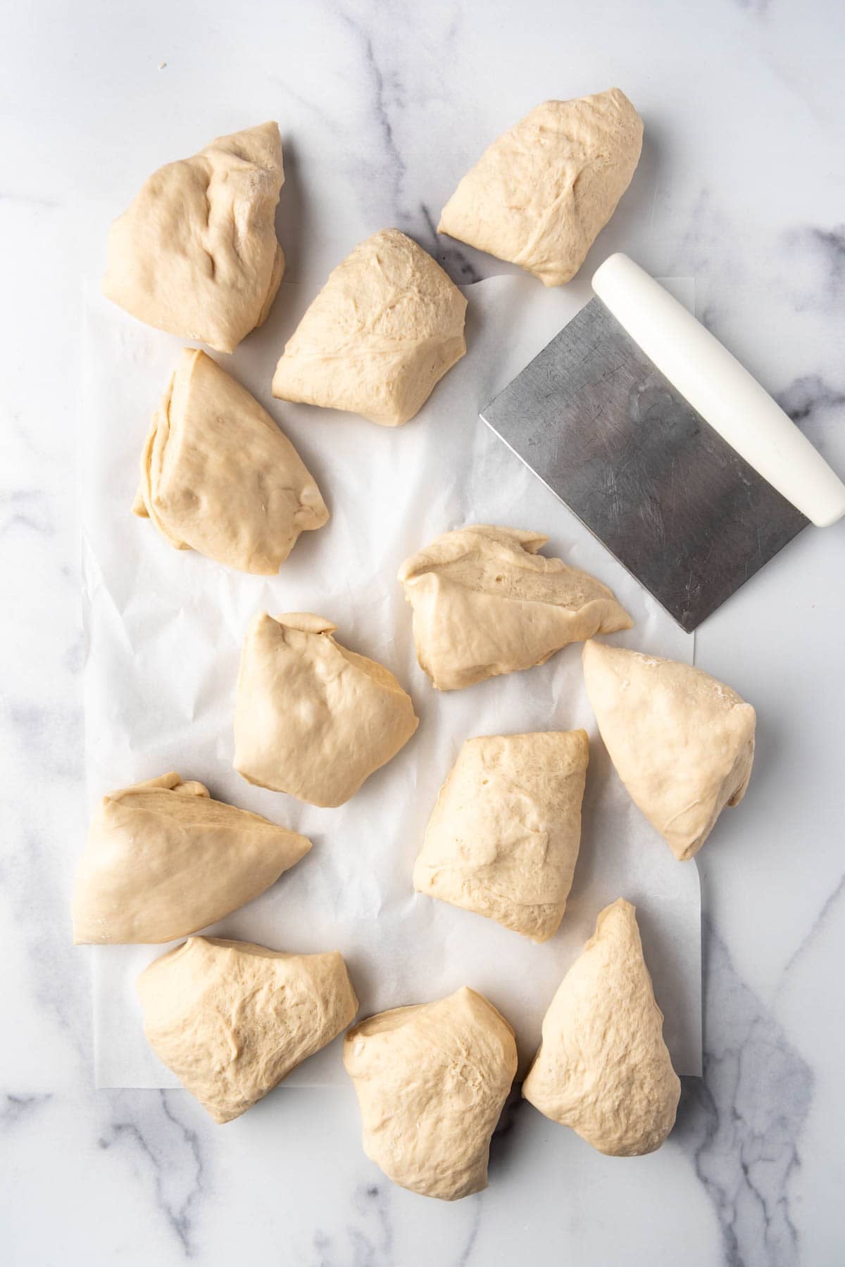 Dividing bagel dough into 12 pieces.