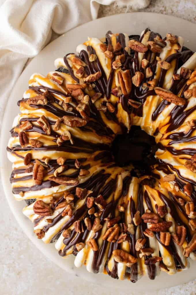 An overhead image of a turtle bundt cake.