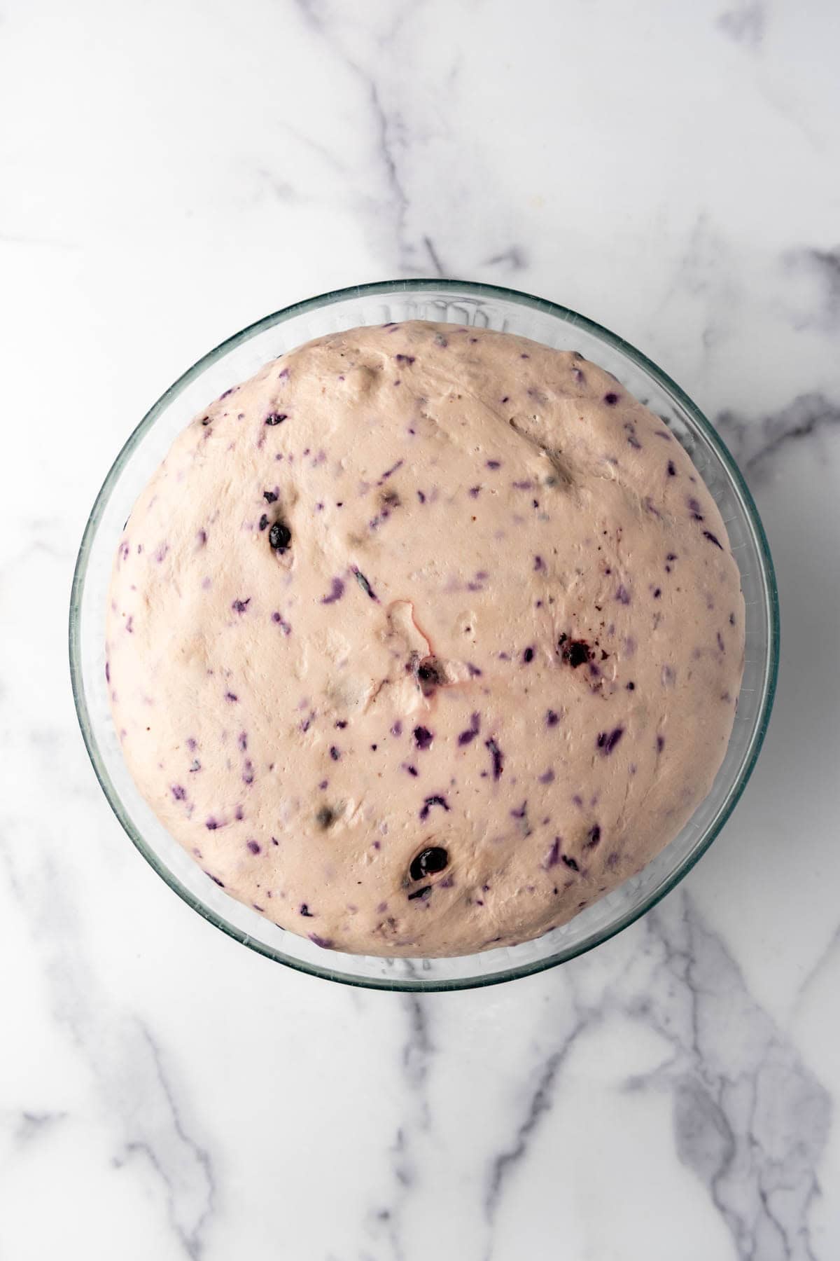 Blueberry bagel dough that has doubled in size.