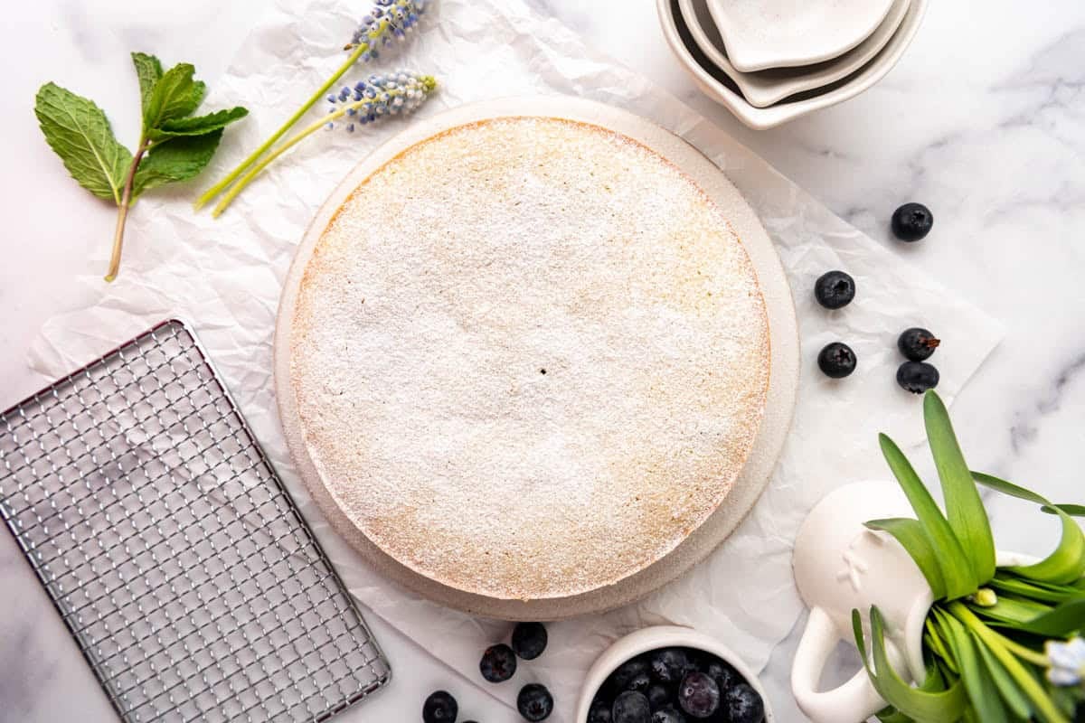 An overhead image of a lemon olive oil cake that has been dusted with powdered sugar.