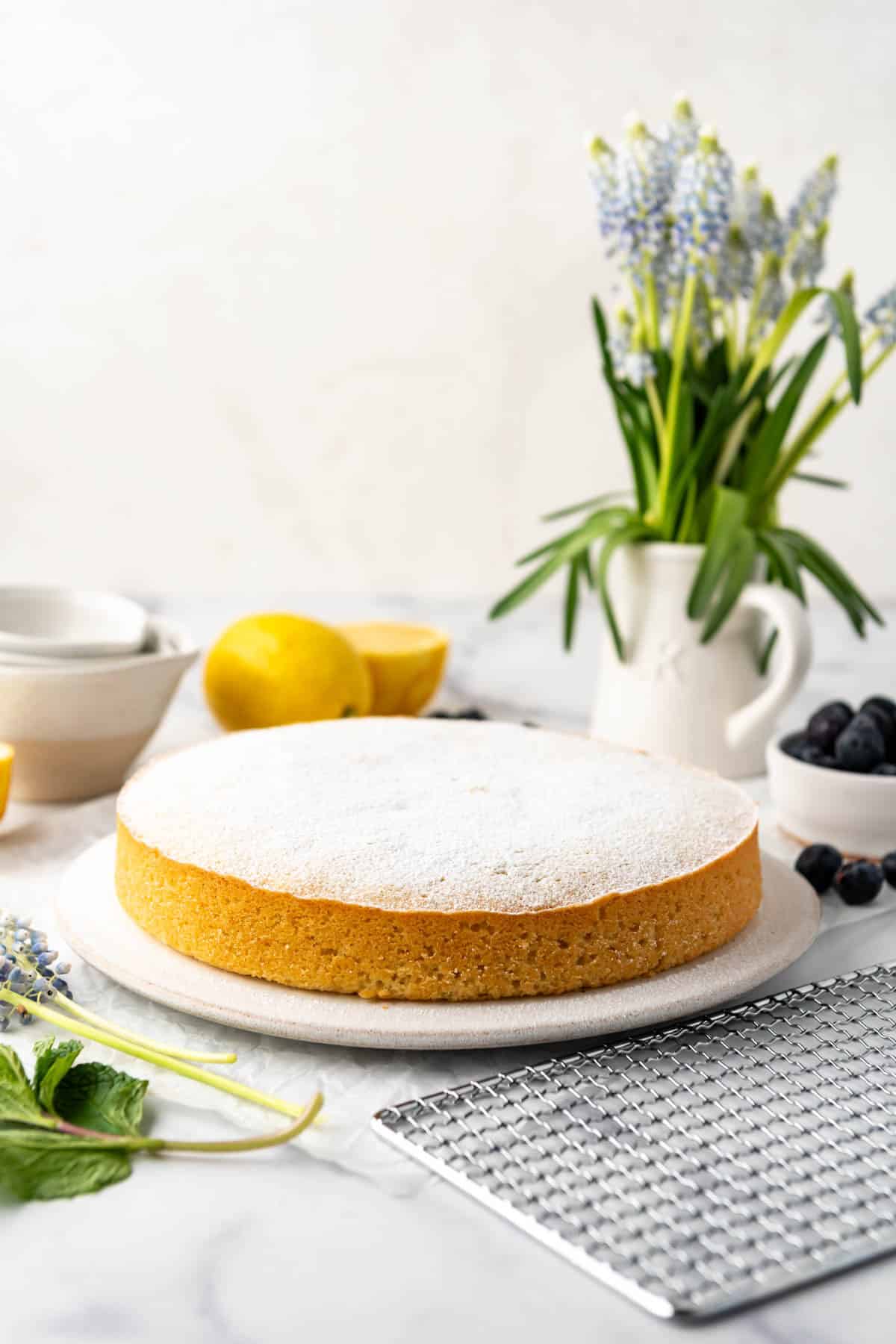 A lemon olive oil cake that has been dusted with powdered sugar.