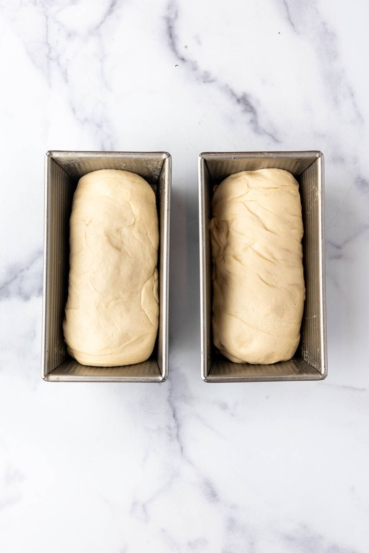 Loaves of sourdough bread in bread pans ready to proof until doubled in size.