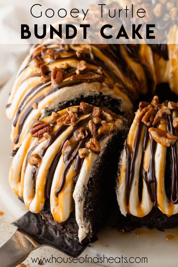 An image of a gooey turtle bundt cake with text overlay.