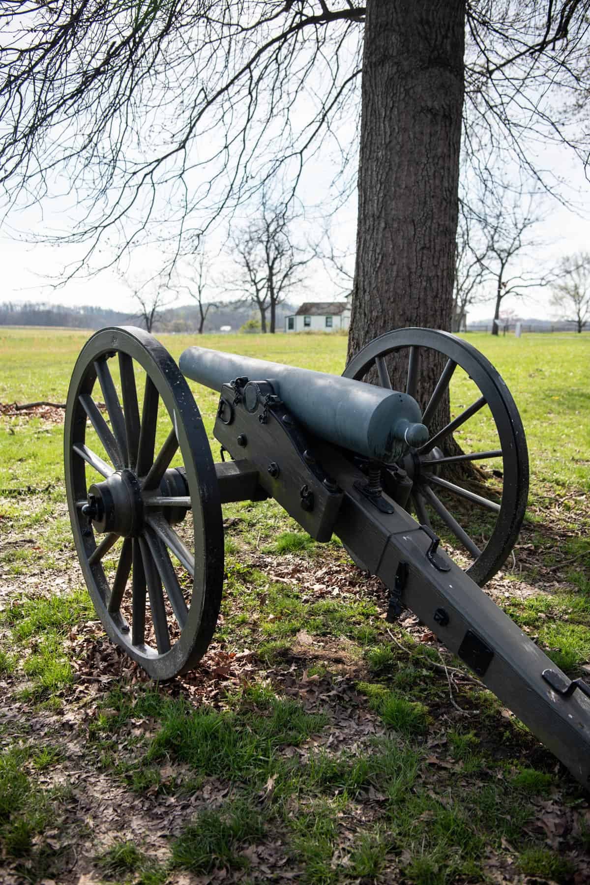 An image of a cannon next to a tree at Gettysburg.