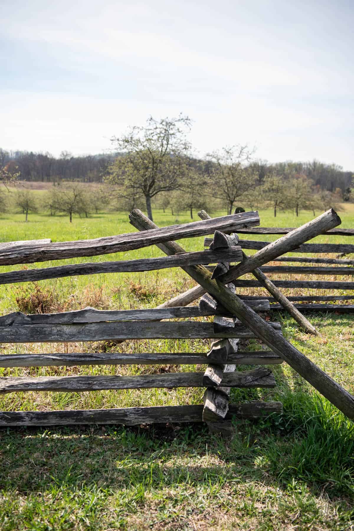 An image of a wooden fence at Gettysburg.