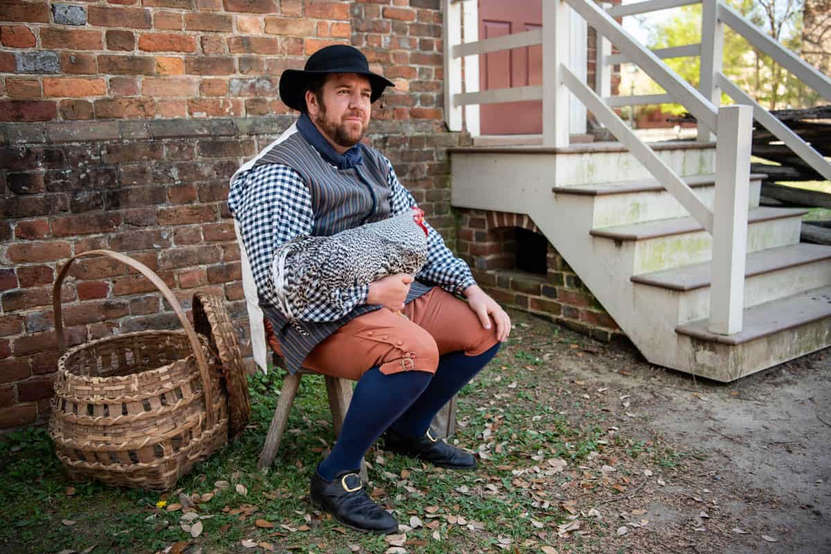 A seated man in colonial dress holding a large black and white chicken next to steps.