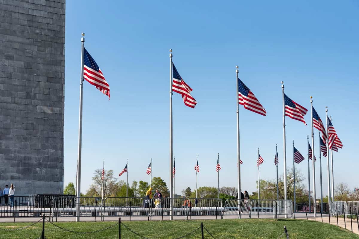American flags surrounding the Washington Monument.