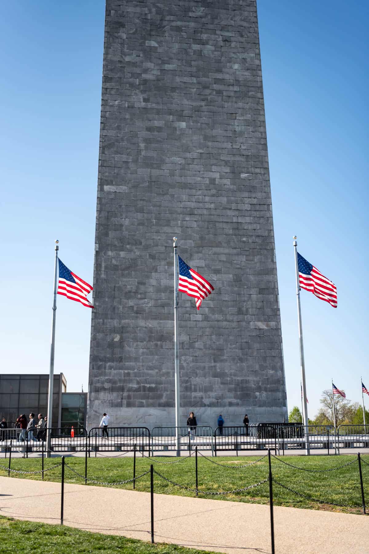 An image of American flags in front of the Washington Monument.
