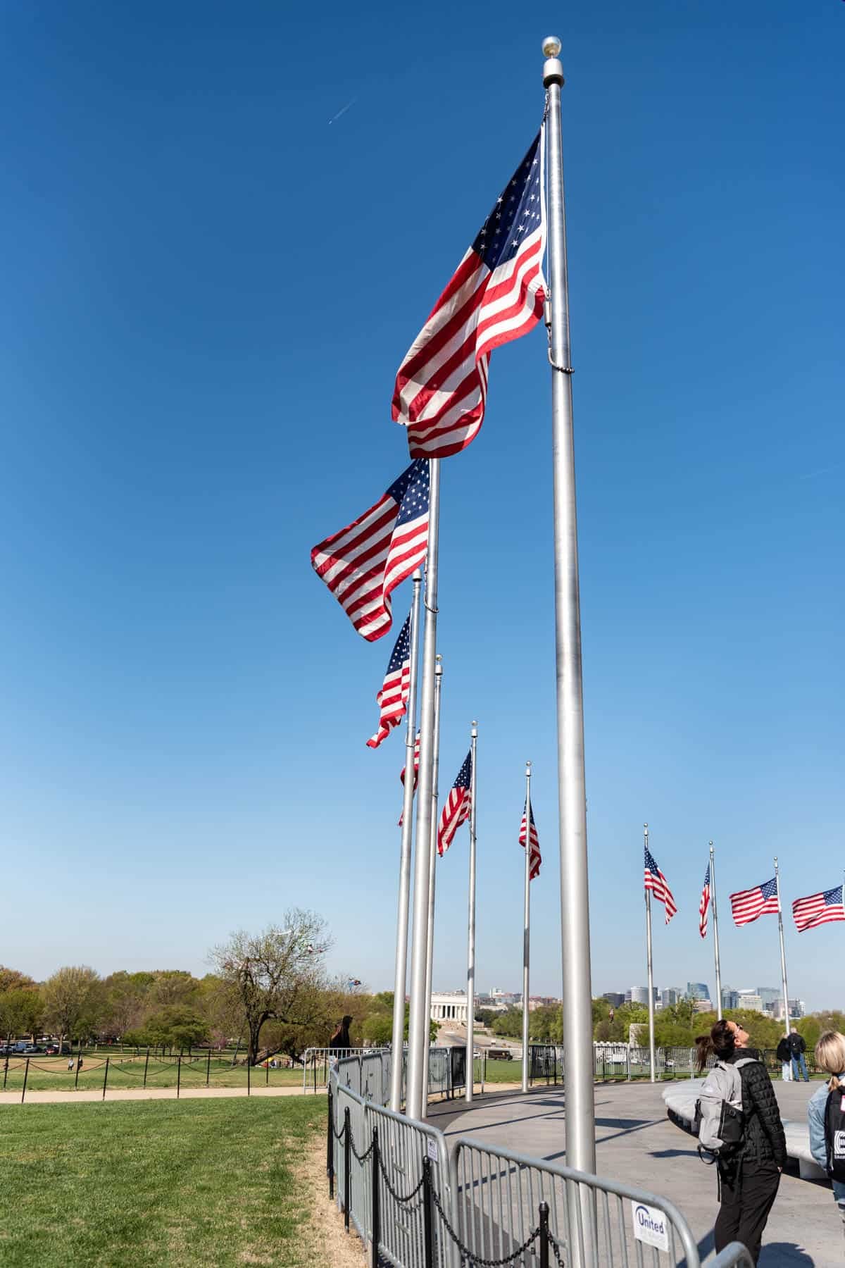 American flags flying in Washington D.C.