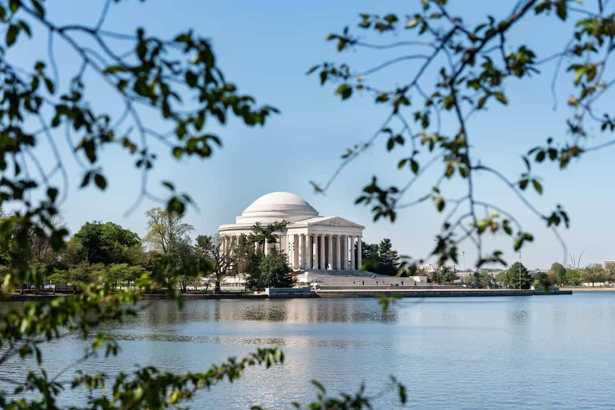 An image of the Jefferson Memorial with branches and water in the foreground.