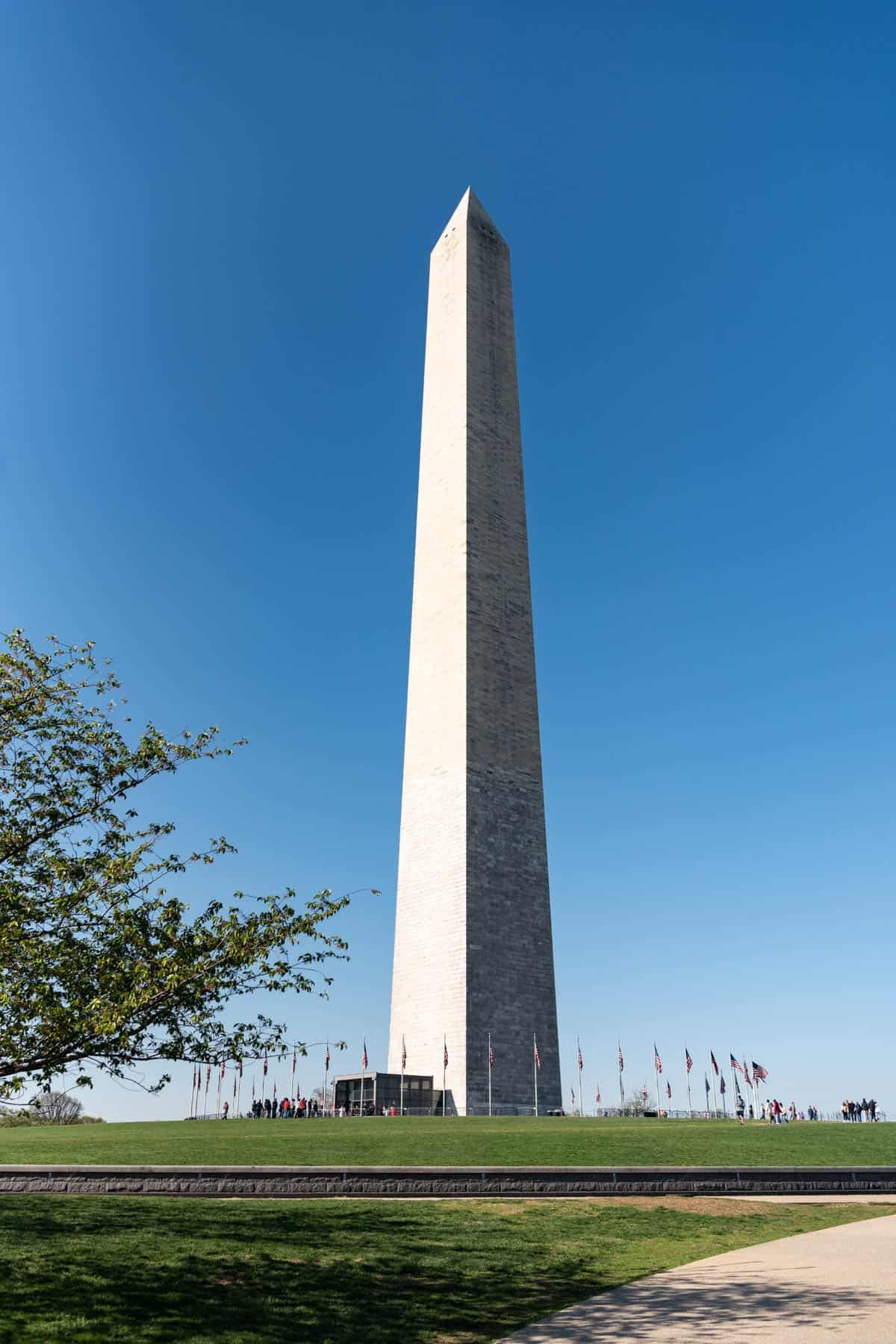 An image of the Washington Monument with a blue sky behind it.
