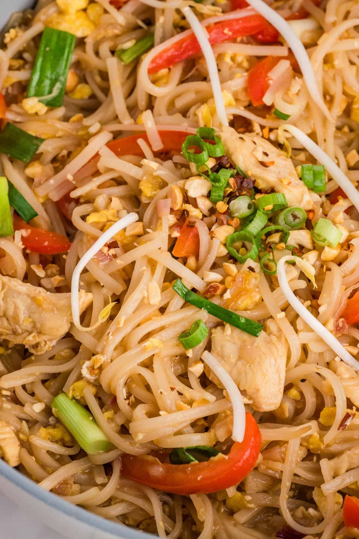 A close up image of pad thai.