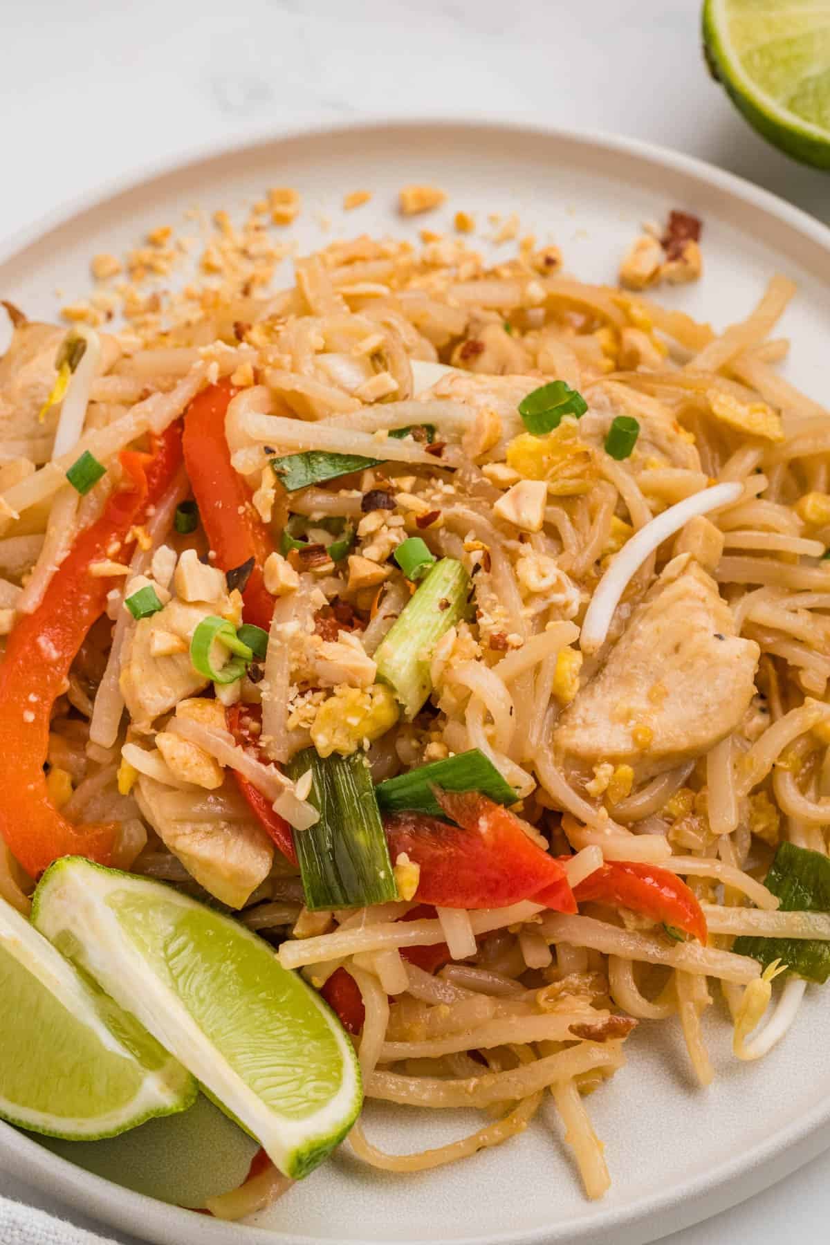 A close up image of pad thai noodles on a plate.